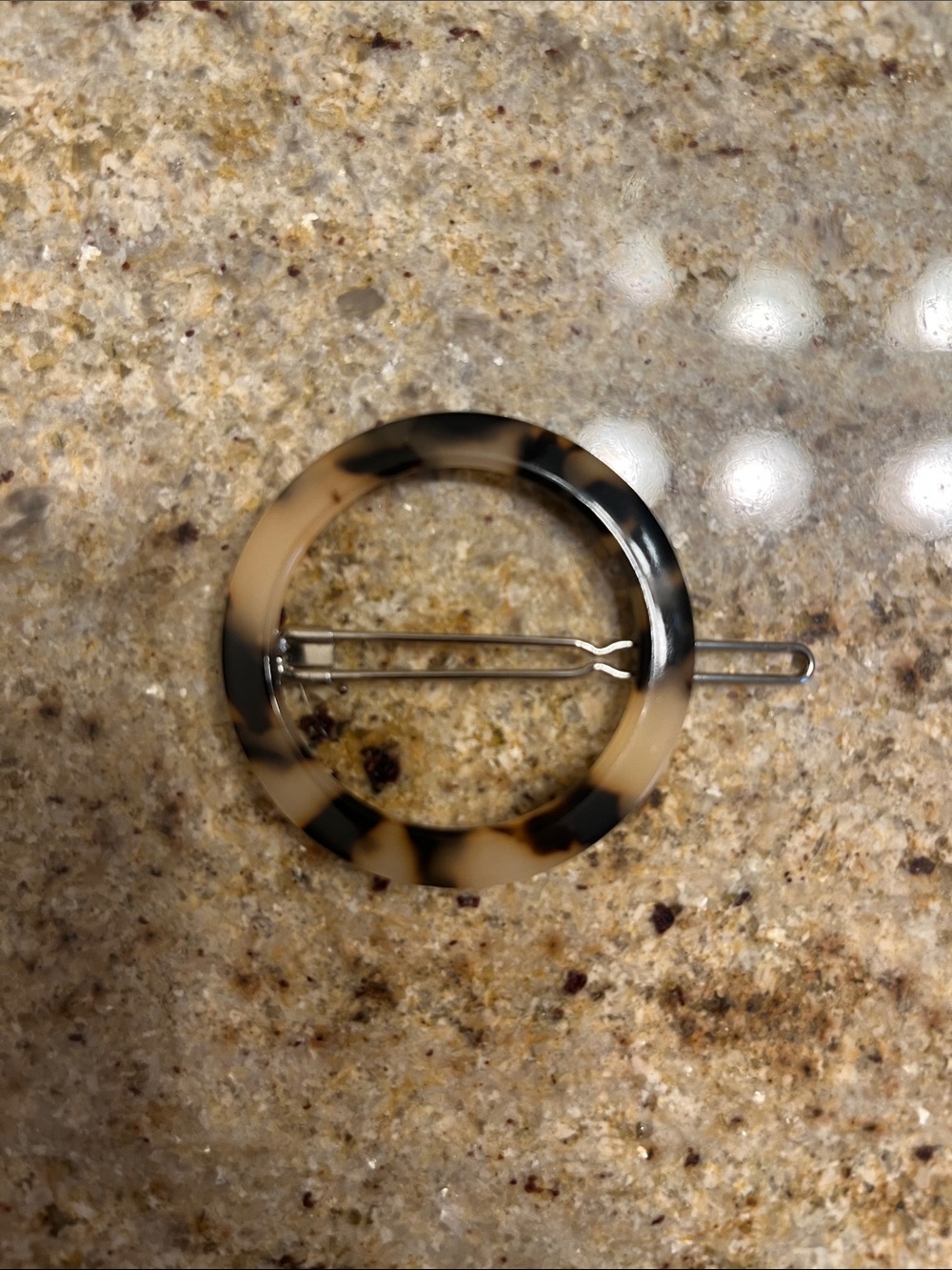 Tortoiseshell Hair Clip